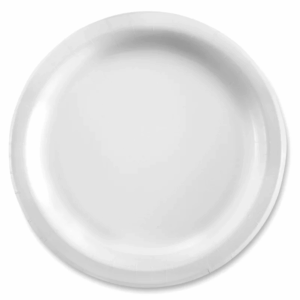 Sugarcane 10" White Round Plate 500pcs/case